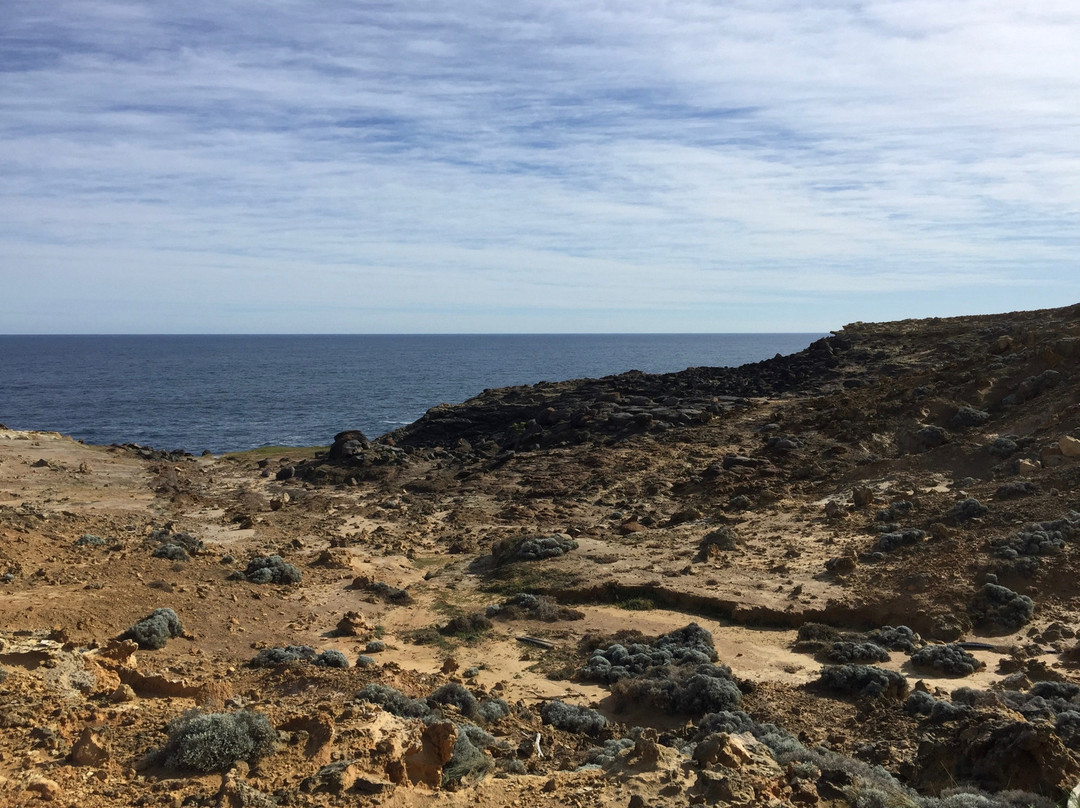 Discovery Bay Marine National Park-Cape Bridgewater必去景点
