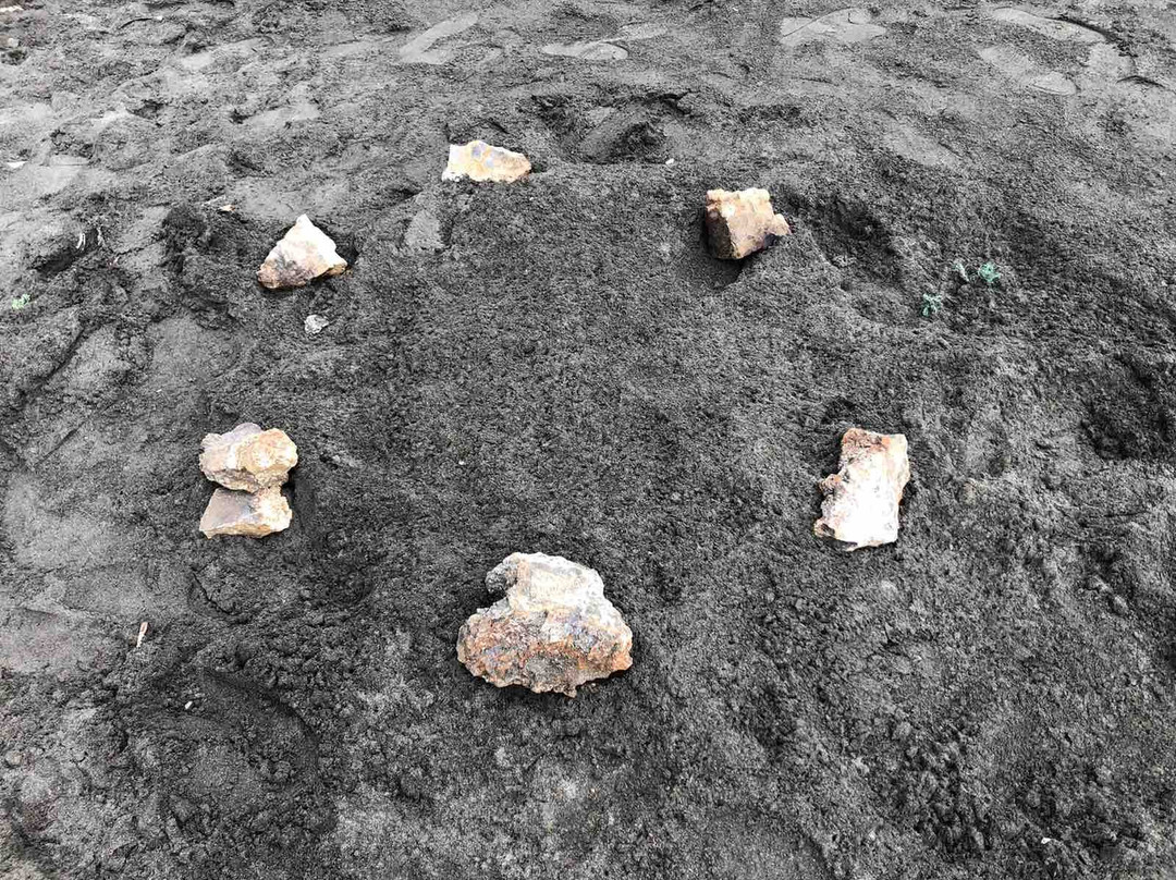 ELDS TOURS                            viaje mais leve, melhores preços, melhores férias-Assomada必去景点