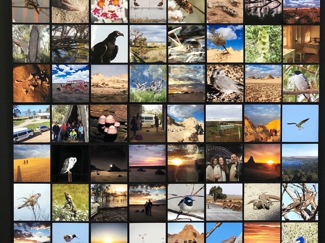 Balranald Art Gallery-Balranald必去景点