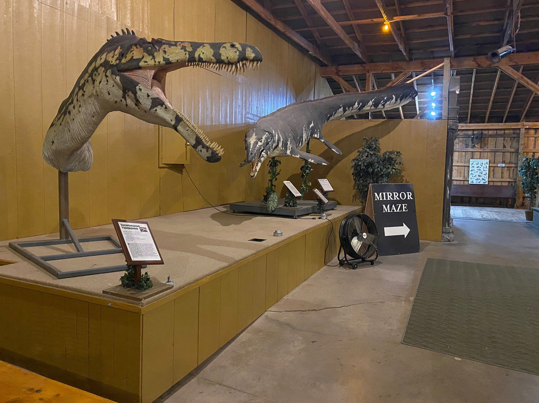 Dinosaur Museum景点图片