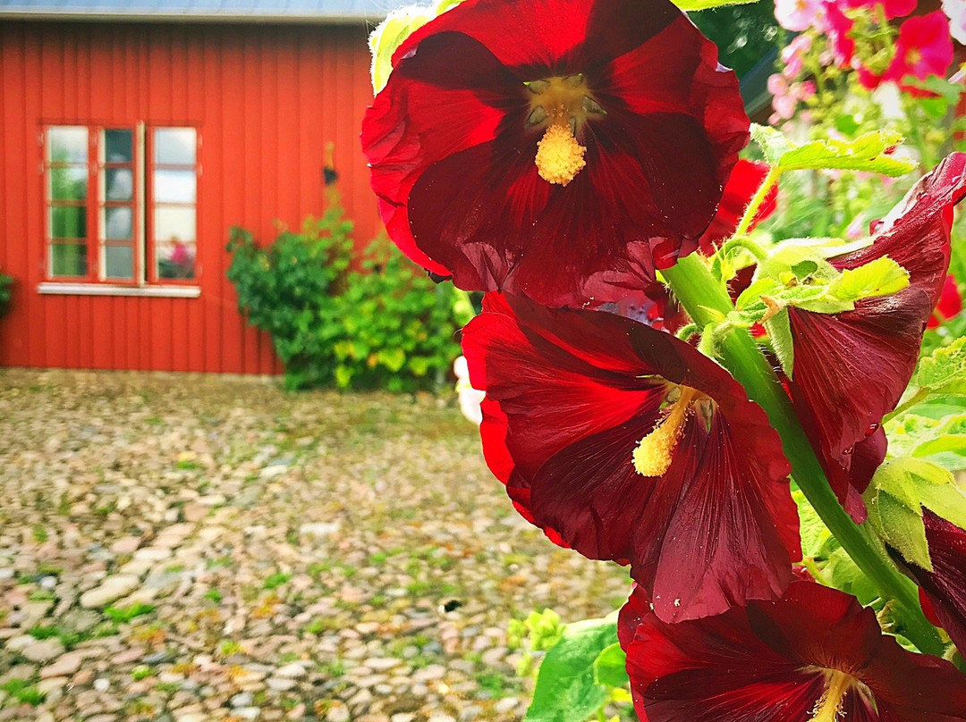 Nils Holgerssongarden主图