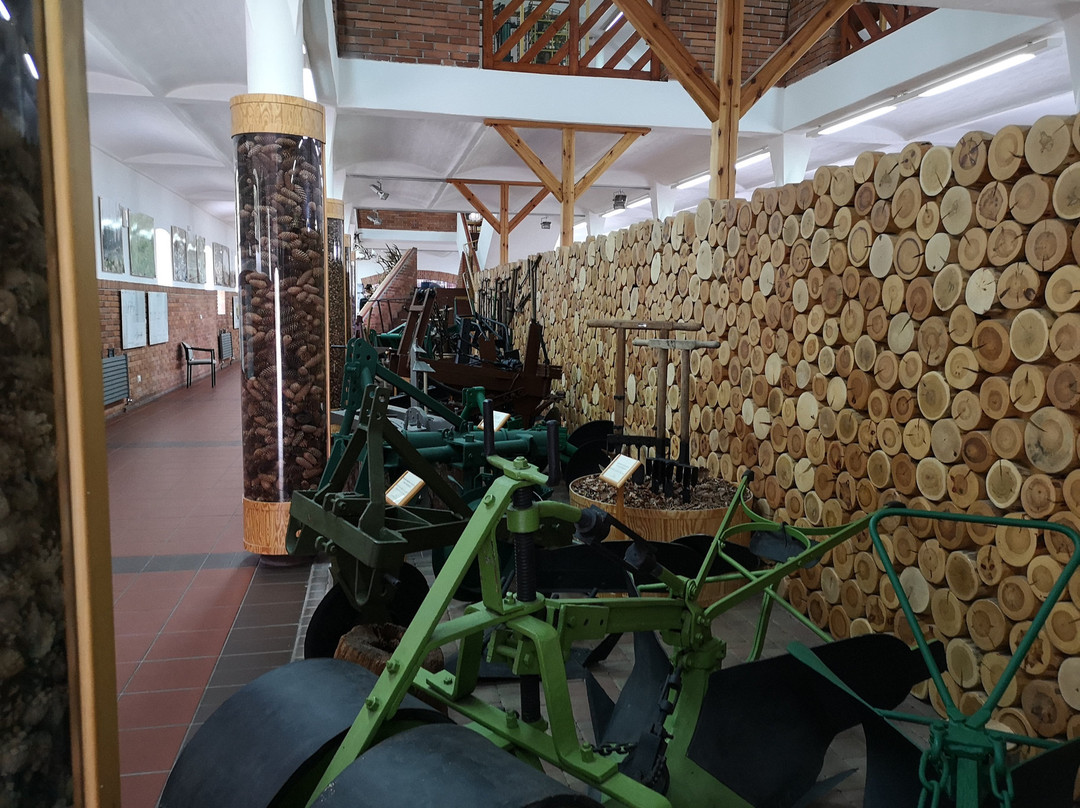 Forestry Museum景点图片