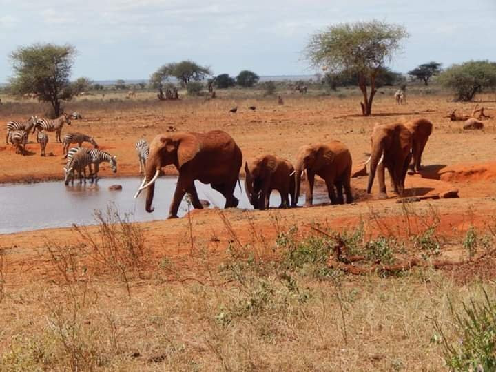 Sights of Escapades Africa-蒙巴萨必去景点