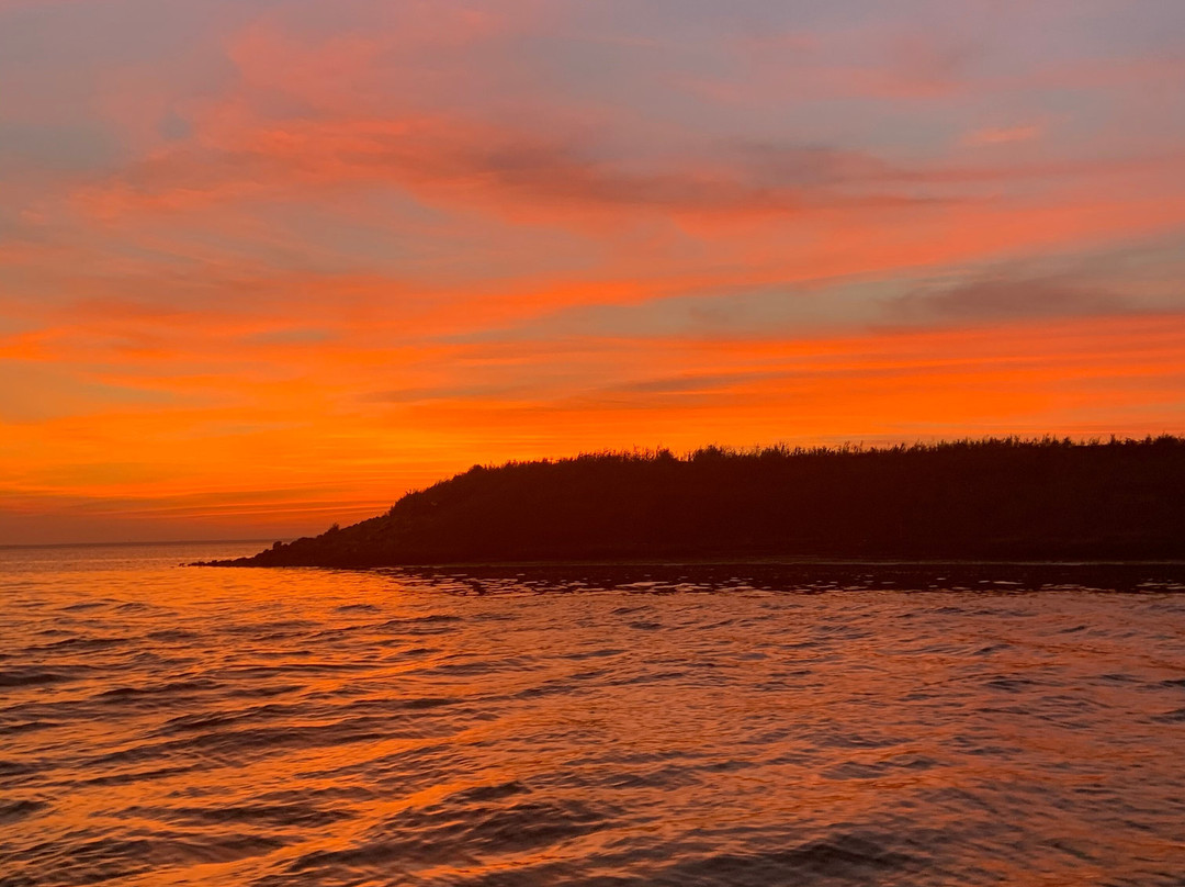 LBI Boat Tours景点图片