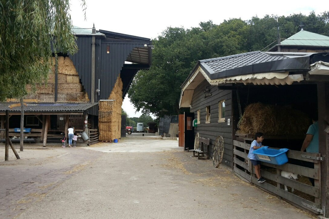 Geitenboerderij Ridammerhoeve景点图片