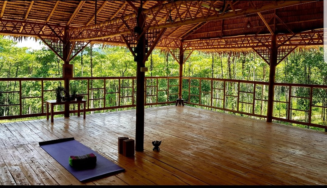 Khaosok Yoga-素叻他尼必去景点