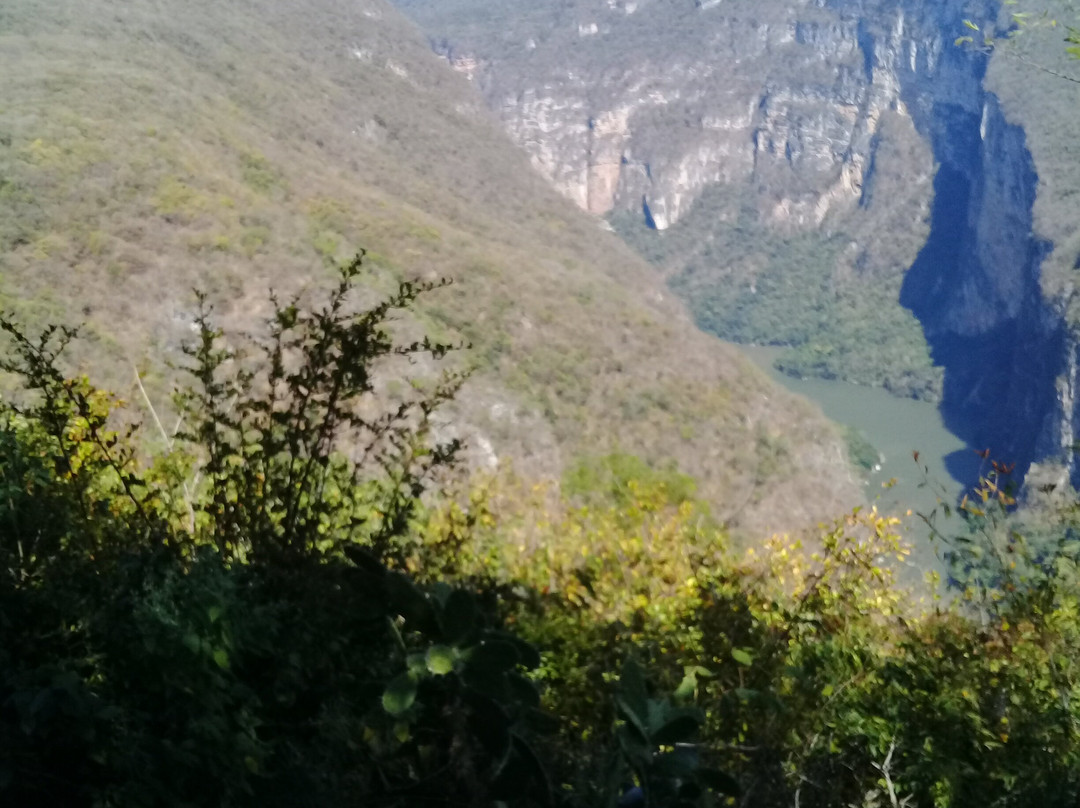Miradores Cañón del Sumidero景点图片