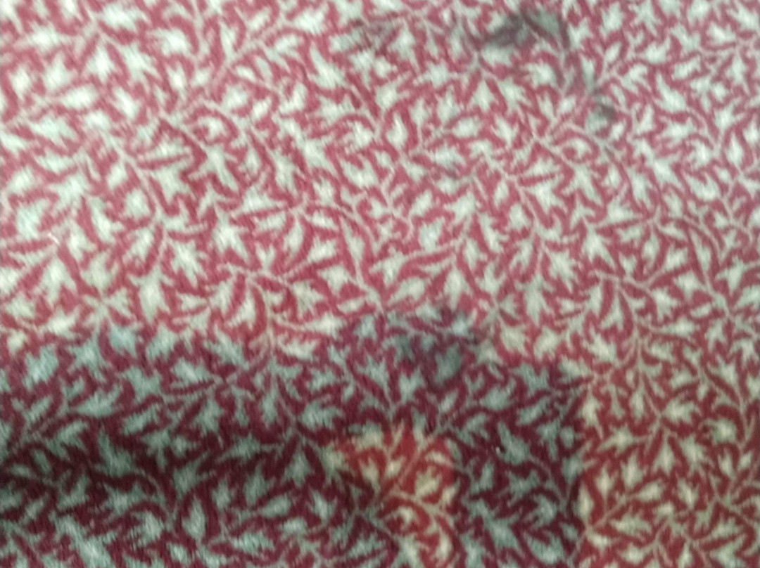 Elk Mountain Lodge主图