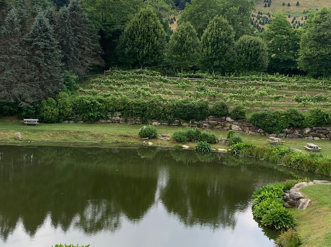 Banner Elk Winery & Villa主图