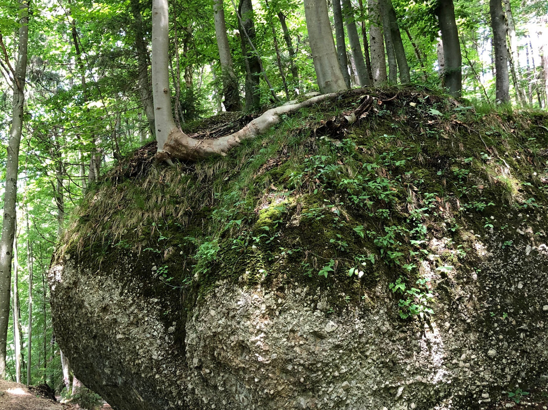 Hechtsee-库夫石必去景点