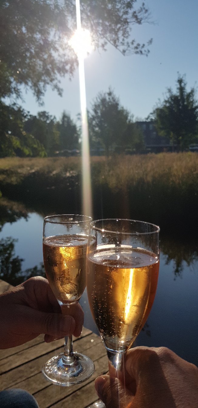 Seehotel Burg SPA & Wellness im Spreewald-官方
