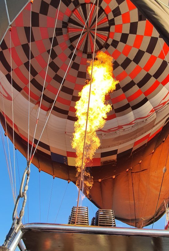 First Class Ballooning景点图片