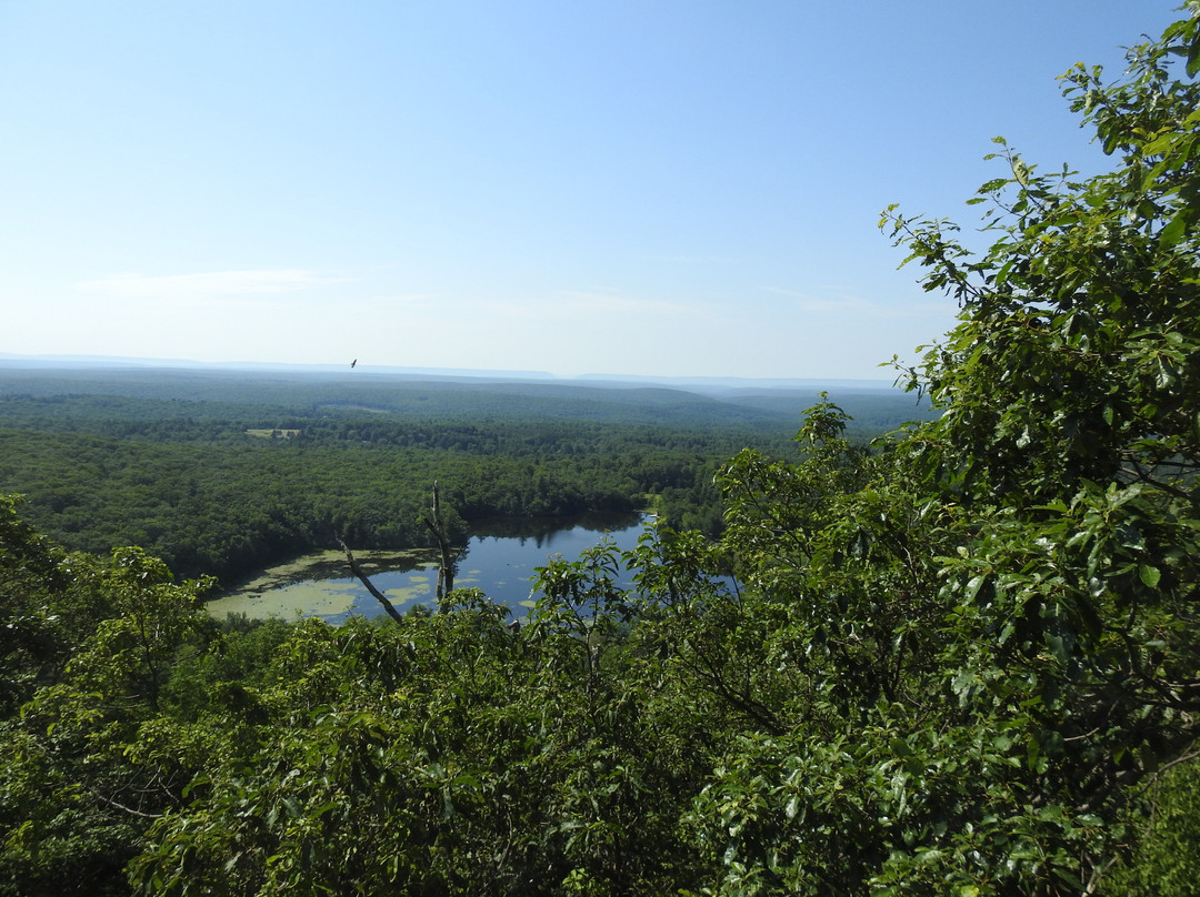 Gravel Family Preserve-Barrett Township必去景点