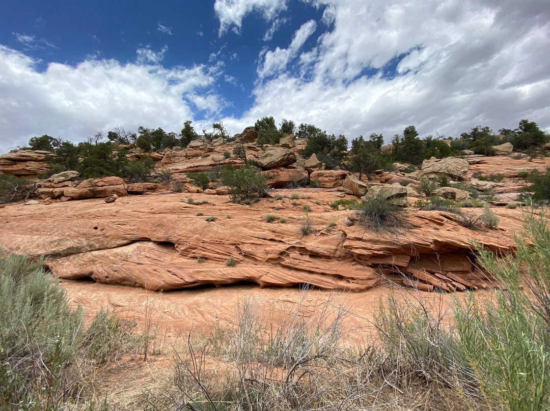 Mule Canyon Ruins-布兰丁必去景点