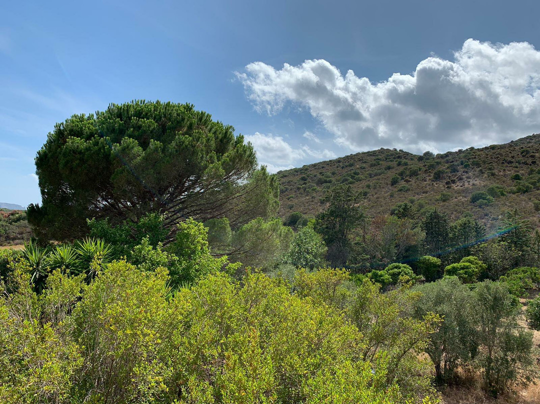 Hotel Golfo del Leone主图