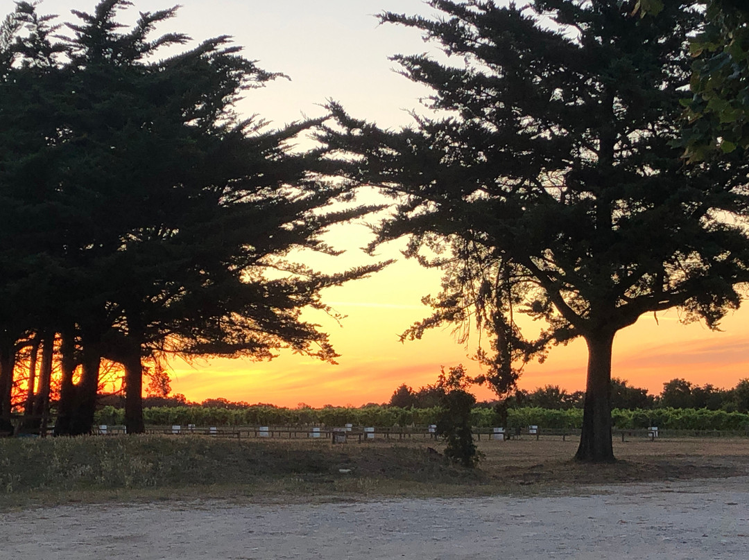 Centre Equestre Le Paddock-Saint-Pierre-d'Oleron必去景点