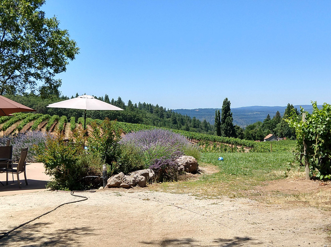 Lava Cap Winery-普莱瑟维尔必去景点