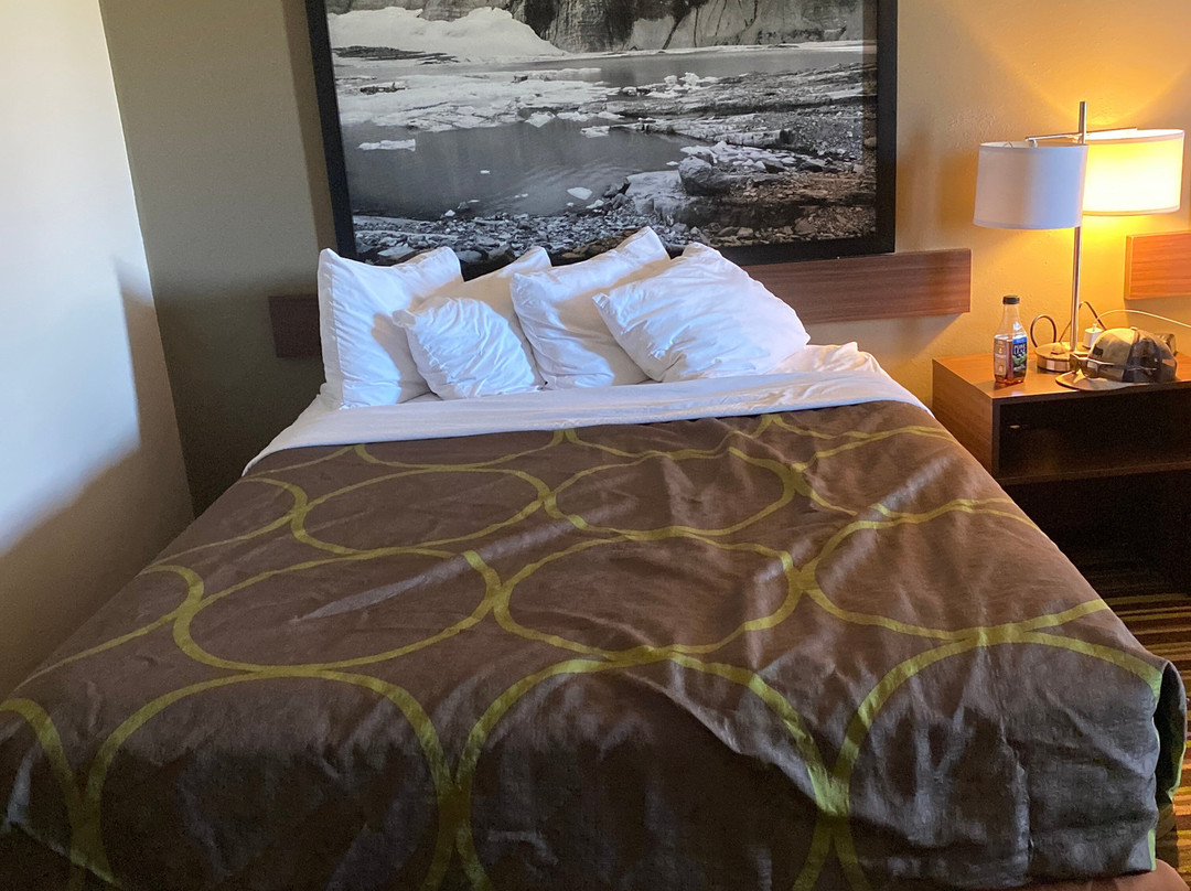 Super 8 by Wyndham Belgrade/Bozeman Airport主图