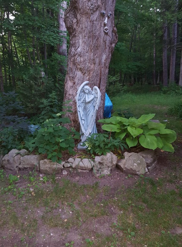 Pine Dale Motor Inn主图