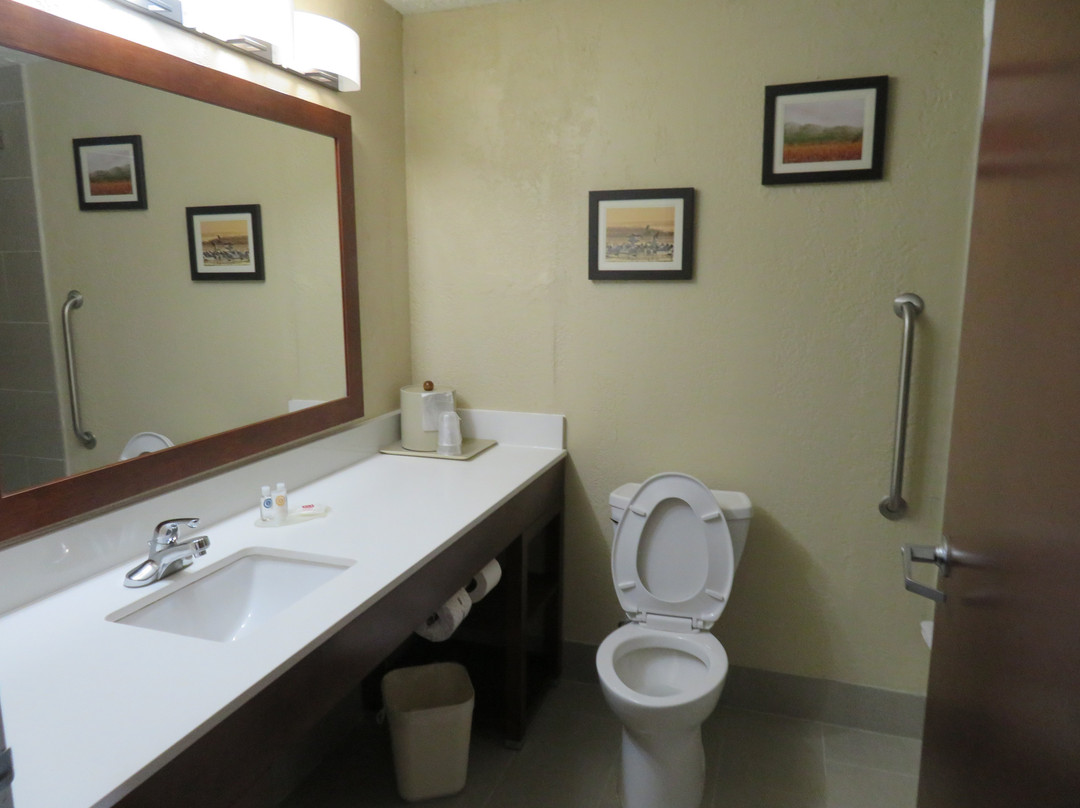 Comfort Inn Madison主图