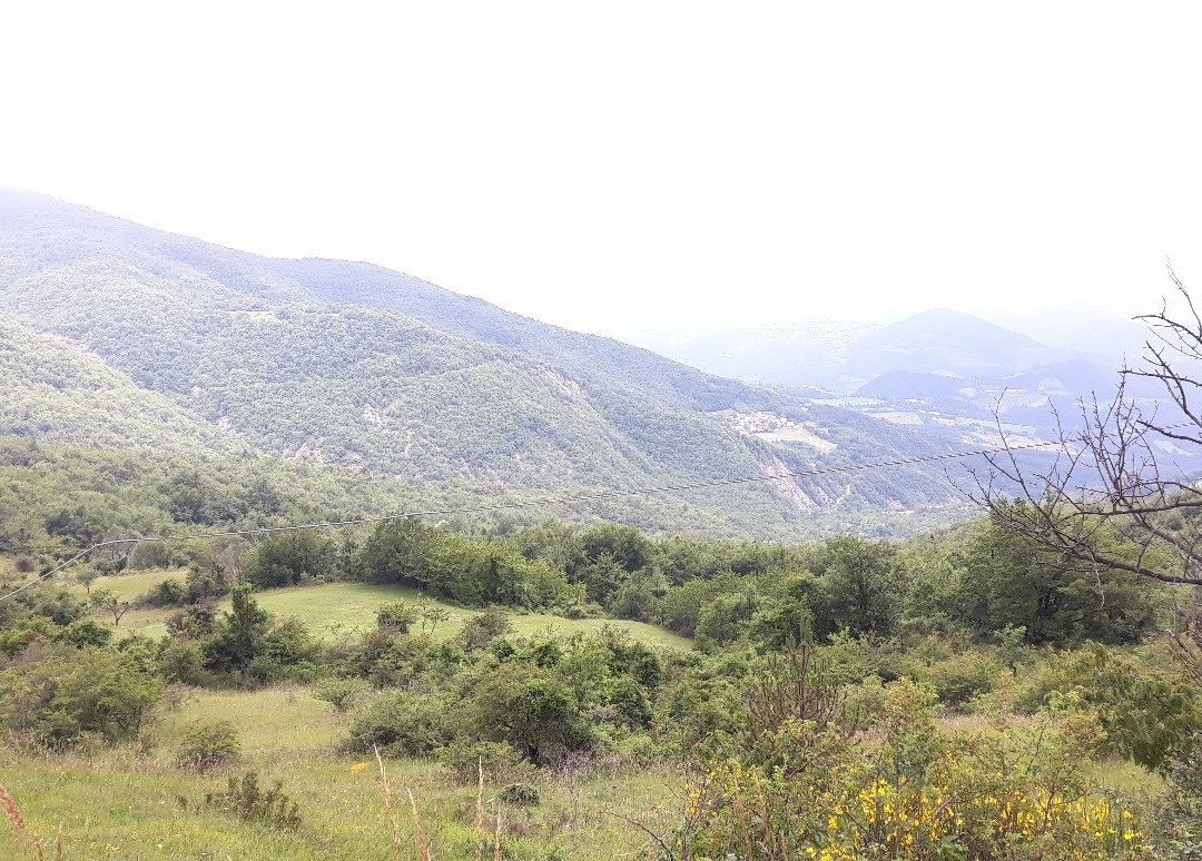 Passo Della Cisa-Berceto必去景点