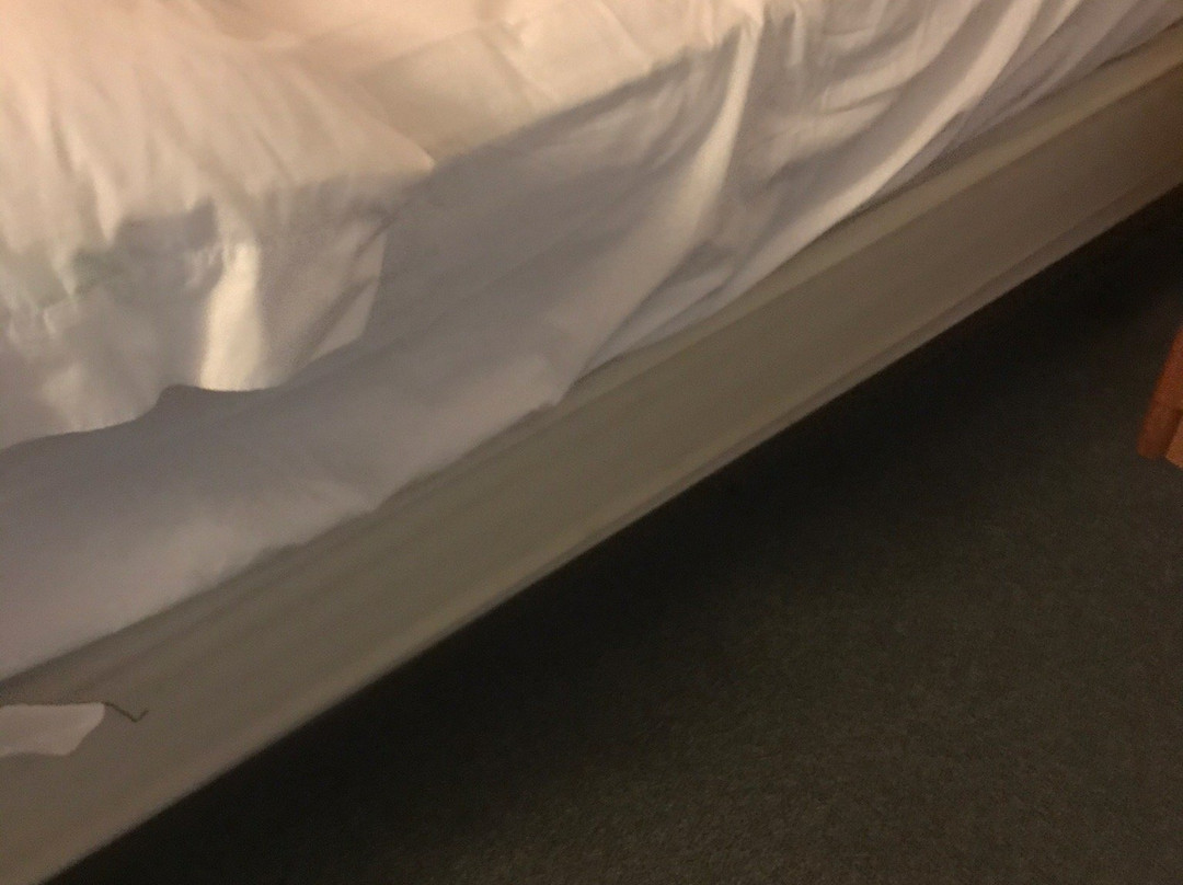 阿尔及尔瀑布汽车旅馆主图