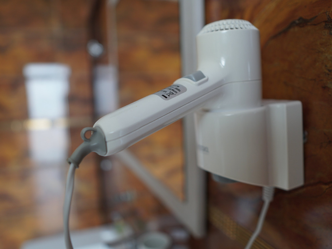 Al Mansour Palace Hotel主图