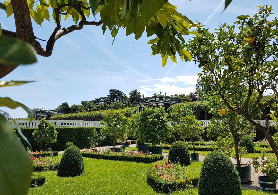 Orangery at Schoenbrunn Palace景点图片
