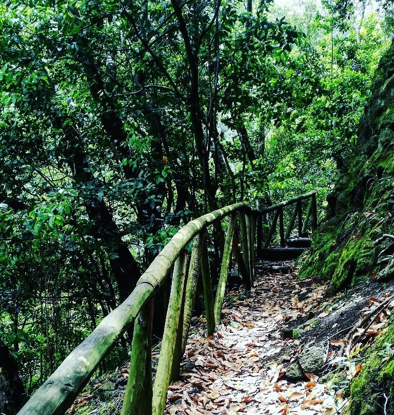 Levada do Castelejo景点图片
