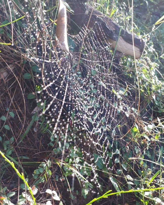 Korogoro Walking Track-Hat Head必去景点