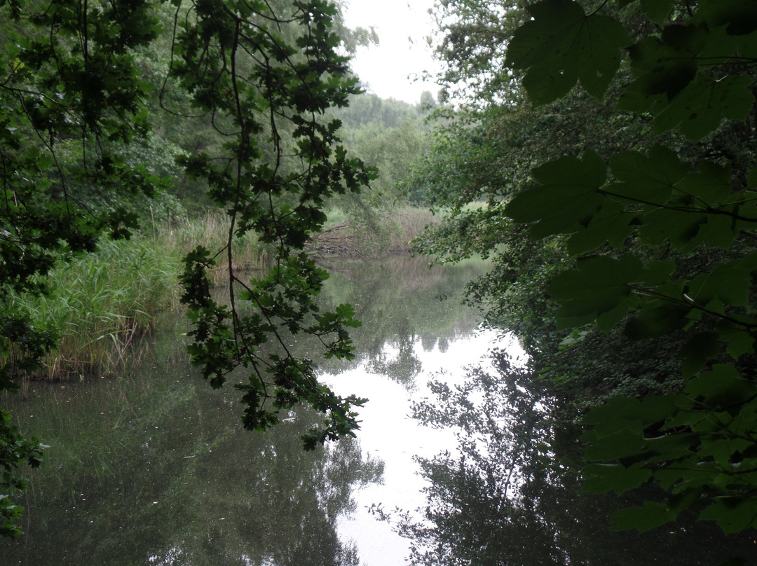 Elvaston Local Nature Reserve-Elvaston必去景点