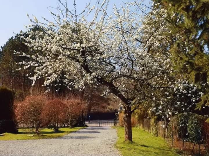 Villa Sparadis主图