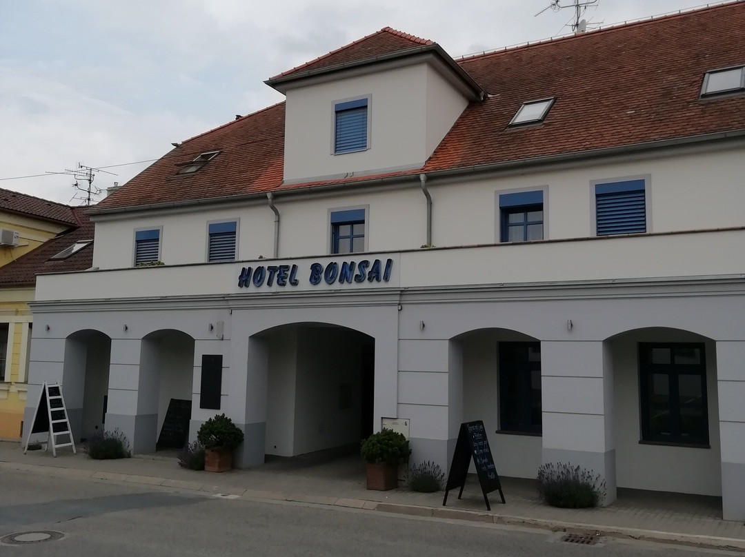 Hotel Bonsai Mikulov主图