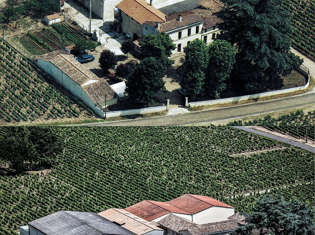 Chateau Palais Cardinal-Saint-Sulpice-de-Faleyrens必去景点