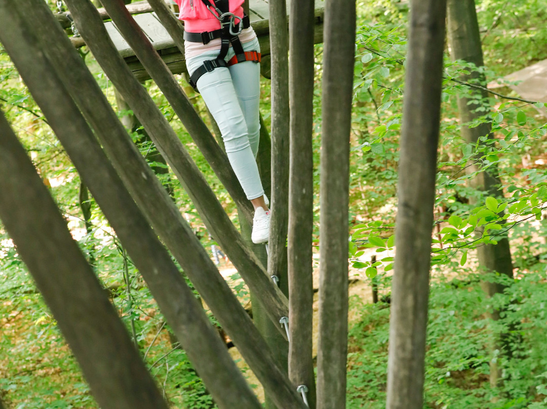 Kletterwald Hamburg-汉堡必去景点