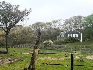 Menemsha Inn & Cottages主图