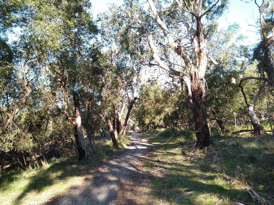 F Oswin Robert Koala Reserve景点图片