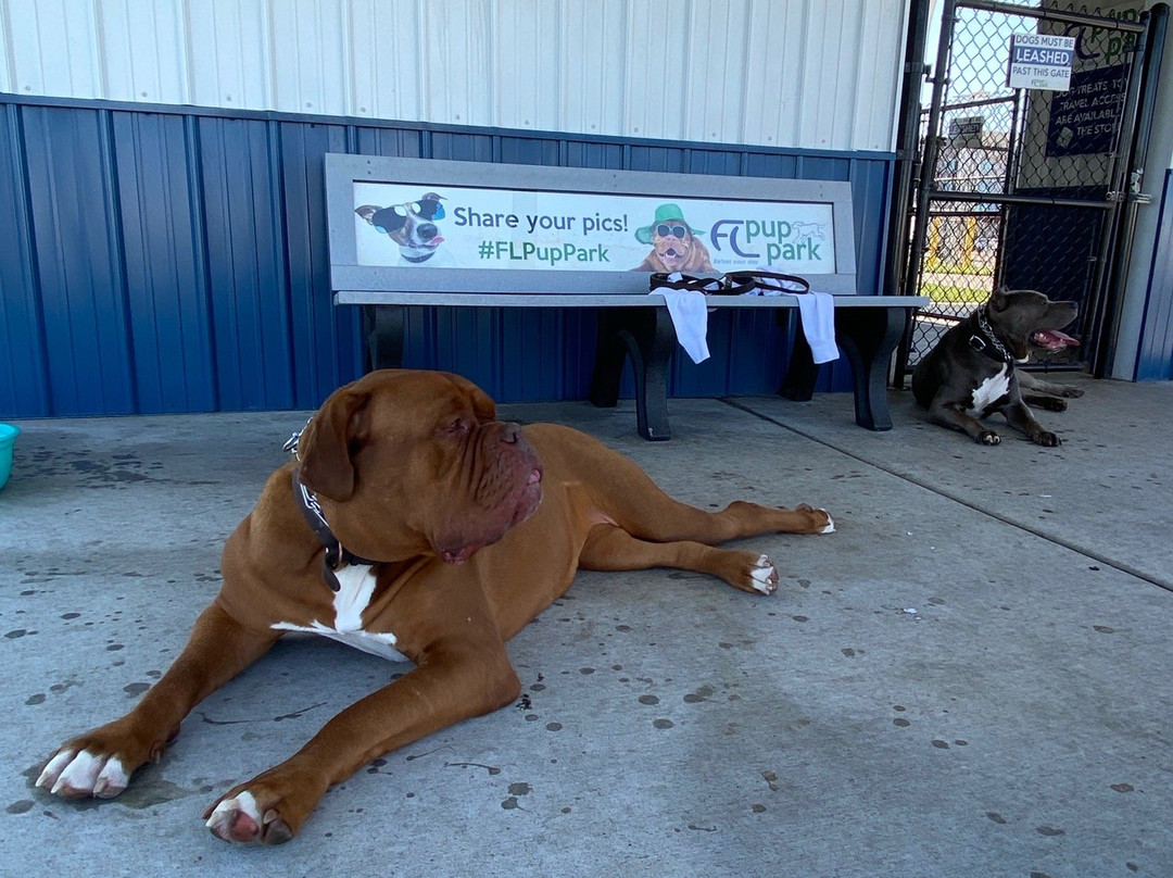 Holiday Inn Express & Suites Kingdom City By IHG主图