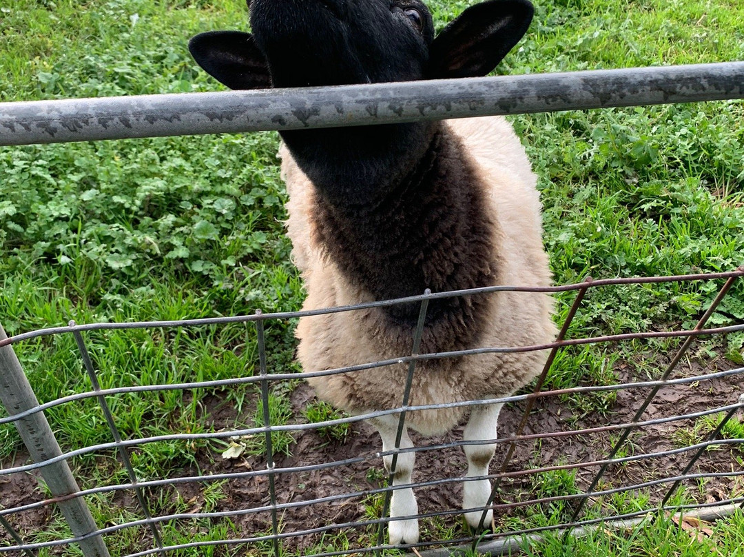 Breakaway Farmstay主图