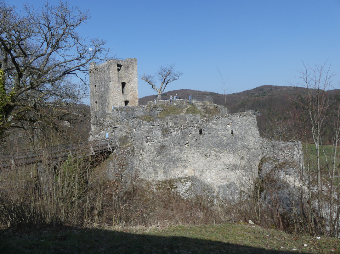 Burgruine Neideck景点图片