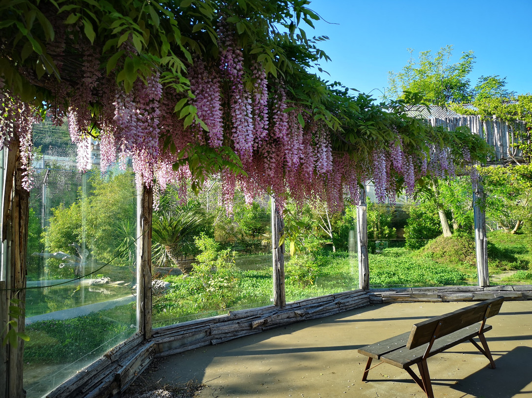 Lo Zoo di Napoli-那不勒斯必去景点