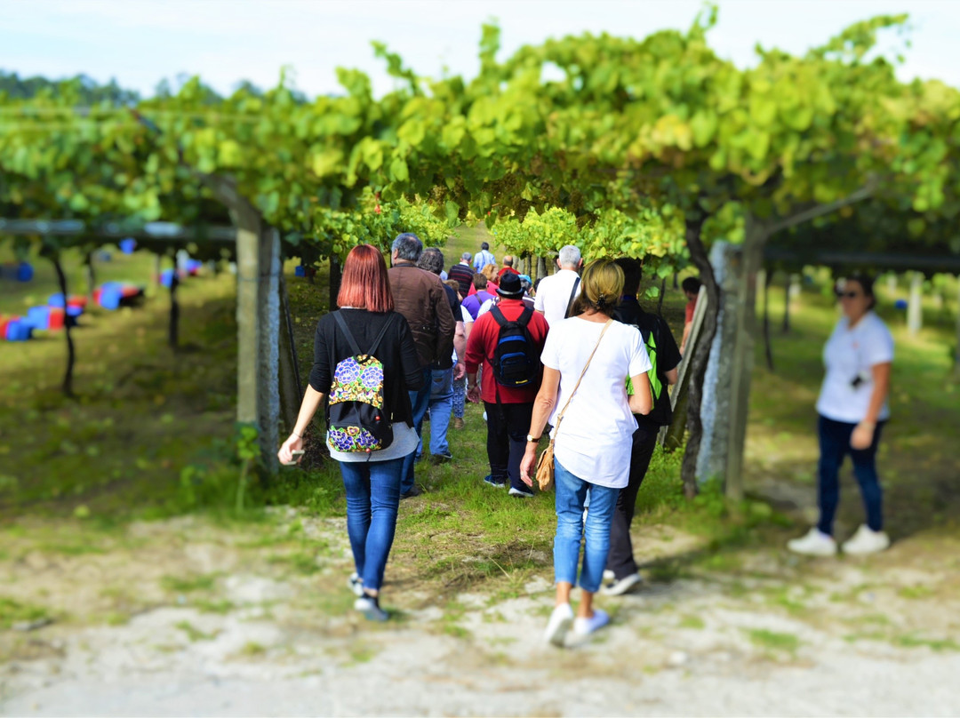 Breathingalicia-圣地亚哥德孔波斯特拉必去景点