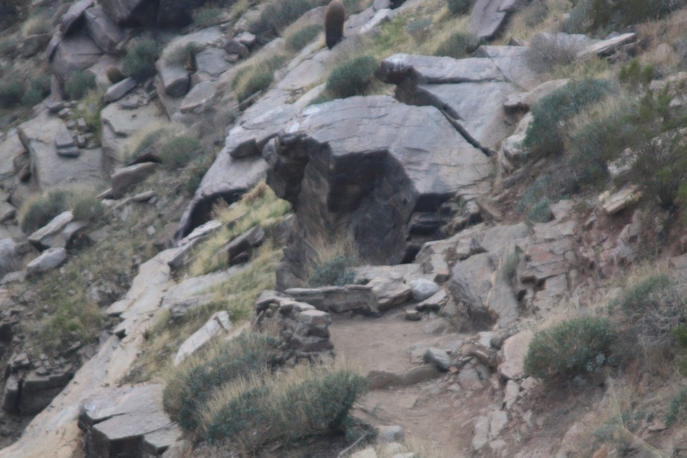 Indian Canyons Hiking Trails景点图片