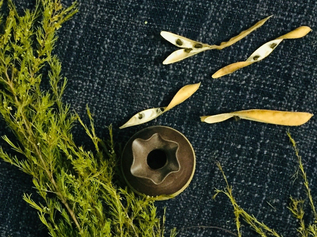 Relaxanh Wellness Spa Hoi An-会安必去景点