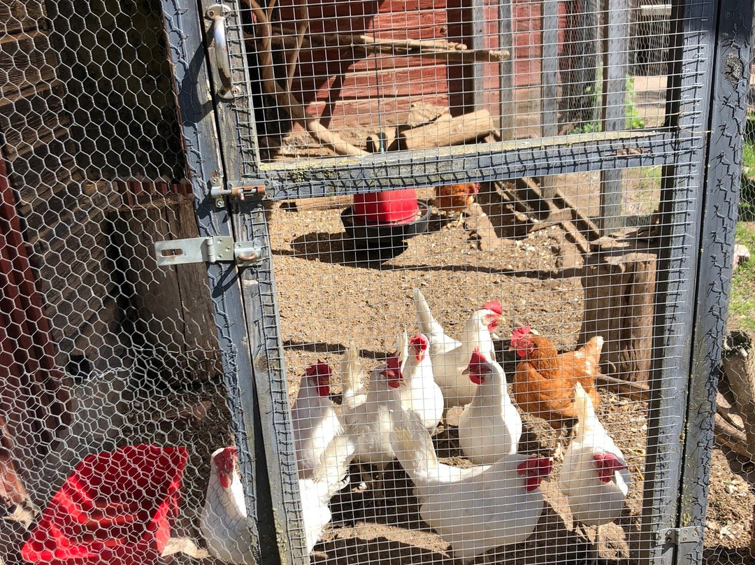 Brådtom Sluss-Norsholm必去景点