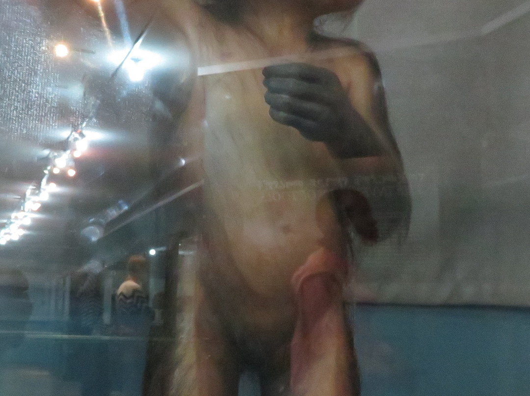 National Museum of Ethiopia景点图片