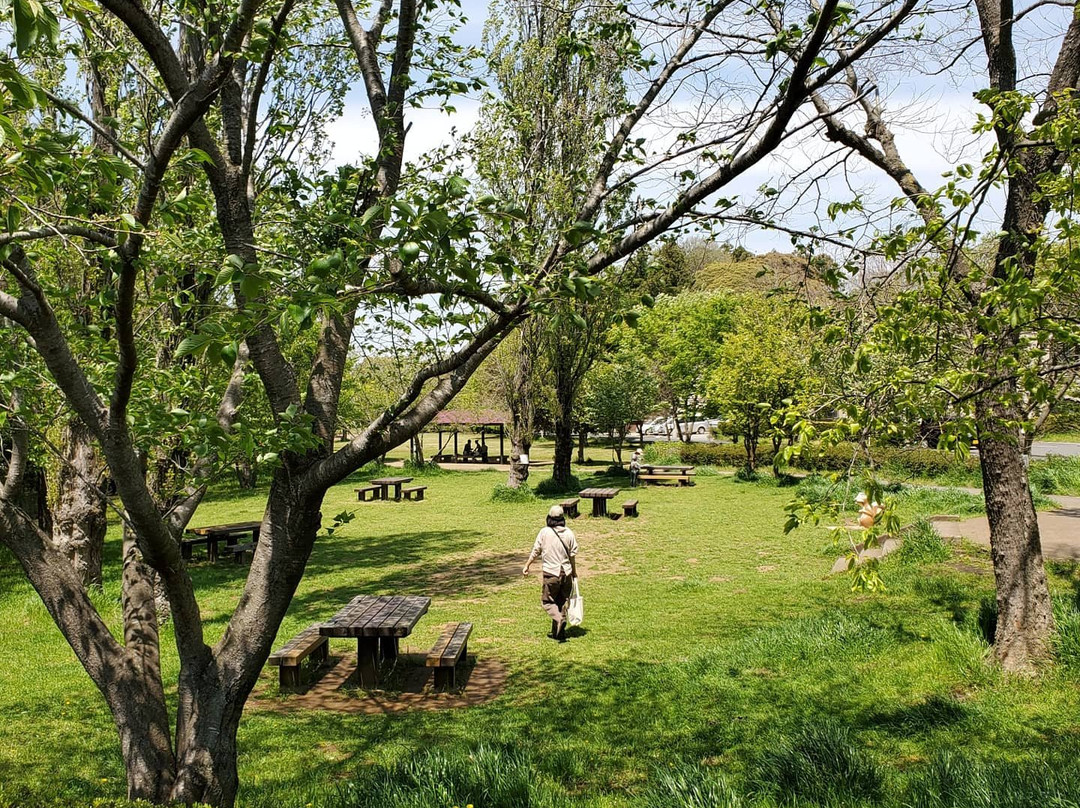 Nanaido Park景点图片