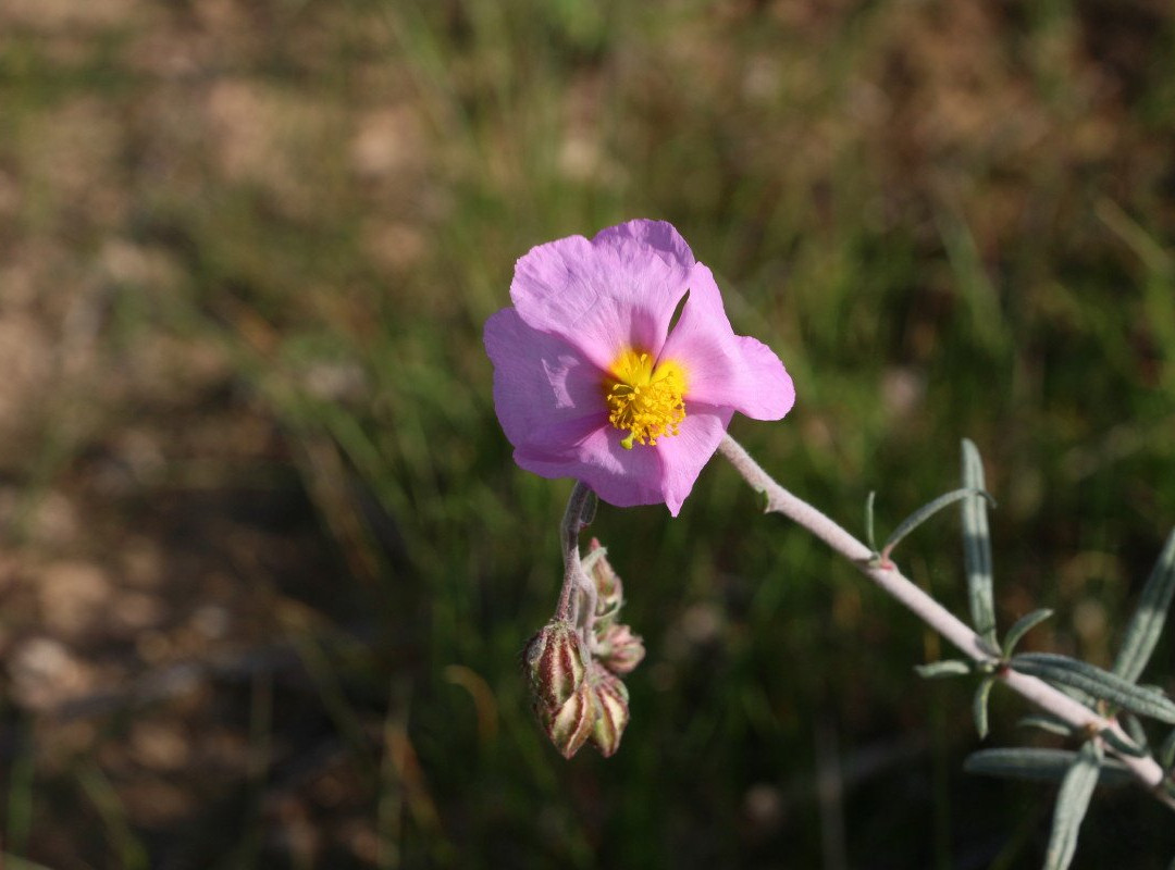 Pura Nature Reserve-贝尔谢巴必去景点