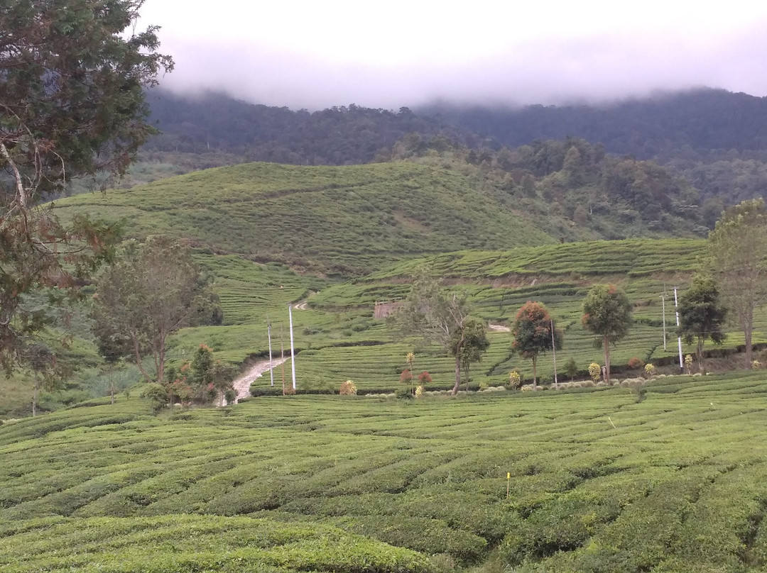 Penginapan Rachella Homestay主图