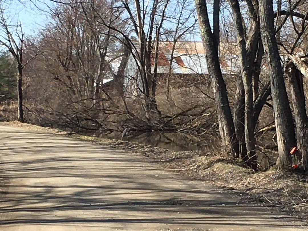 Champlain Canal-Towpath景点图片